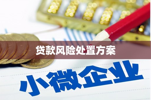 沂南贷款风险处置方案