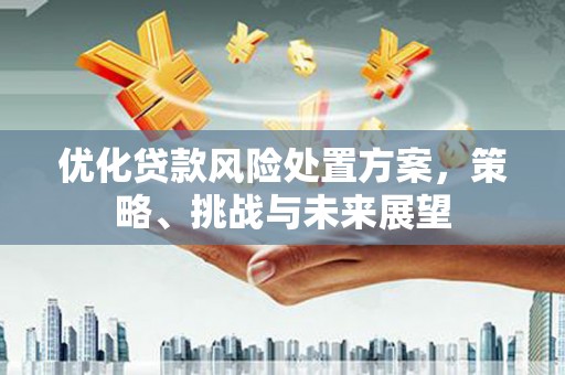 沂南优化贷款风险处置方案，策略、挑战与未来展望