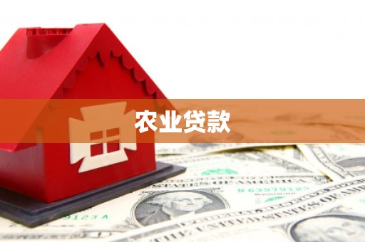 沂南农业贷款