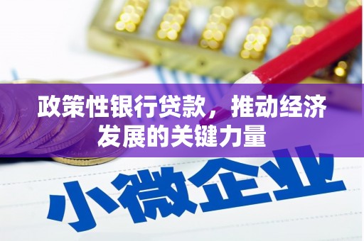 沂南政策性银行贷款，推动经济发展的关键力量
