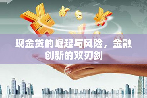 沂南现金贷的崛起与风险，金融创新的双刃剑
