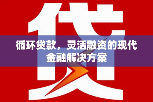 沂南循环贷款，灵活融资的现代金融解决方案