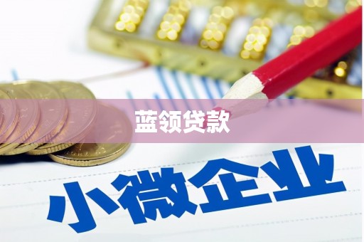 沂南蓝领贷款