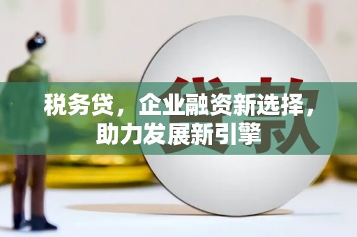 沂南税务贷，企业融资新选择，助力发展新引擎
