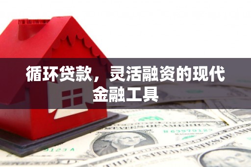 沂南循环贷款，灵活融资的现代金融工具