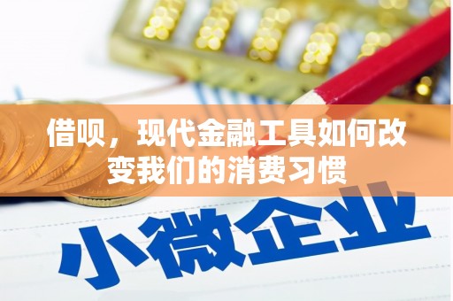 沂南借呗，现代金融工具如何改变我们的消费习惯
