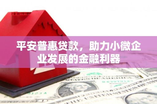 沂南平安普惠贷款，助力小微企业发展的金融利器