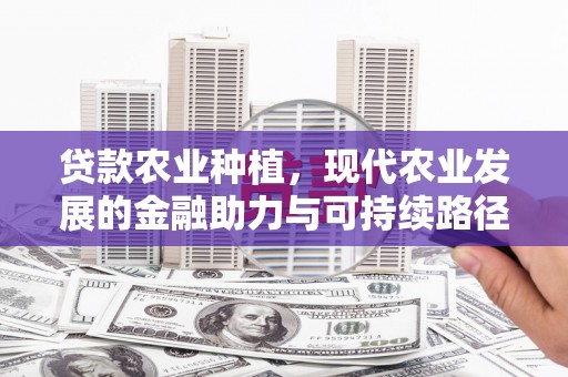 沂南贷款农业种植，现代农业发展的金融助力与可持续路径