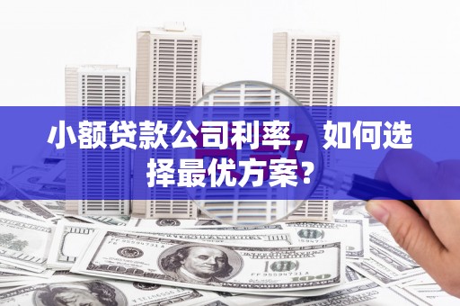 沂南小额贷款公司利率，如何选择最优方案？