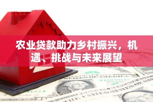 沂南农业贷款助力乡村振兴，机遇、挑战与未来展望