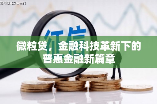 沂南微粒贷，金融科技革新下的普惠金融新篇章