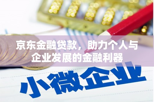 沂南京东金融贷款，助力个人与企业发展的金融利器