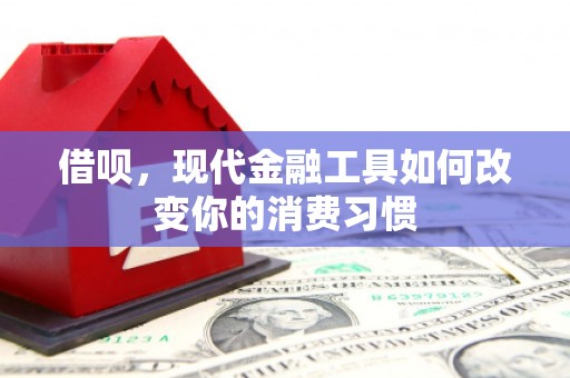 沂南借呗，现代金融工具如何改变你的消费习惯