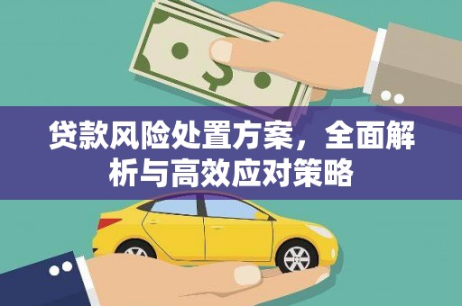 沂南贷款风险处置方案，全面解析与高效应对策略