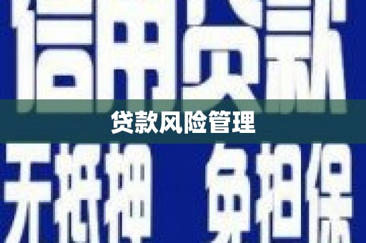 沂南贷款风险管理