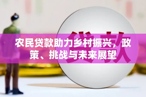 沂南农民贷款助力乡村振兴，政策、挑战与未来展望