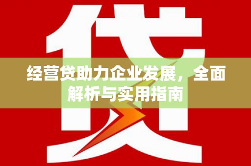 沂南经营贷助力企业发展，全面解析与实用指南