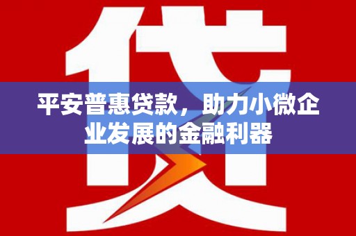 沂南平安普惠贷款，助力小微企业发展的金融利器