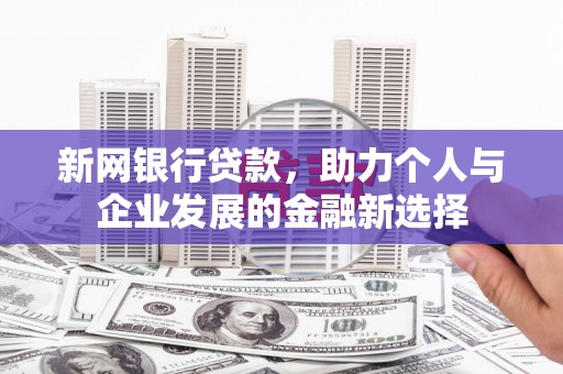 沂南新网银行贷款，助力个人与企业发展的金融新选择