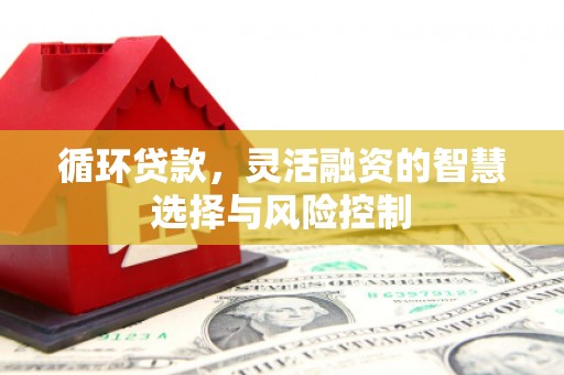 沂南循环贷款，灵活融资的智慧选择与风险控制