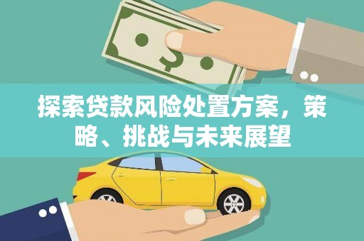 沂南探索贷款风险处置方案，策略、挑战与未来展望