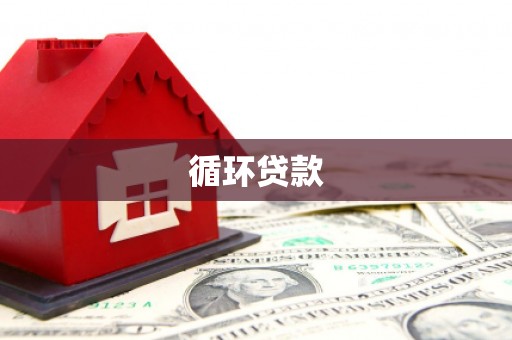 沂南循环贷款