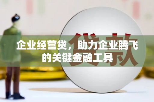 沂南企业经营贷，助力企业腾飞的关键金融工具