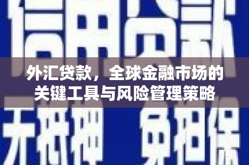 沂南外汇贷款，全球金融市场的关键工具与风险管理策略