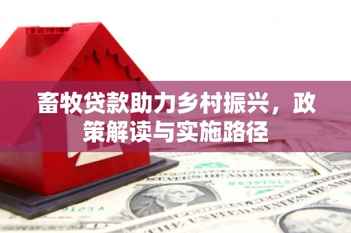 沂南畜牧贷款助力乡村振兴，政策解读与实施路径