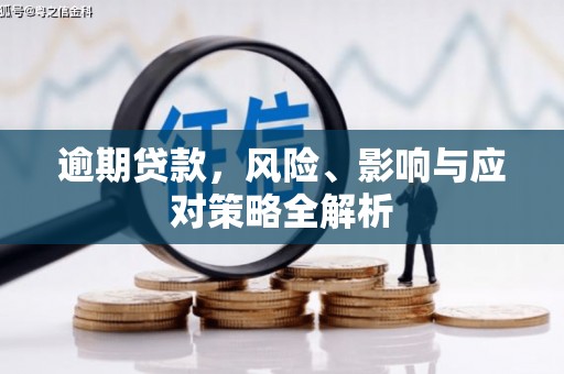 沂南逾期贷款，风险、影响与应对策略全解析