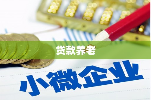 沂南贷款养老