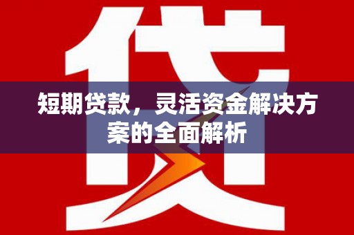 沂南短期贷款，灵活资金解决方案的全面解析