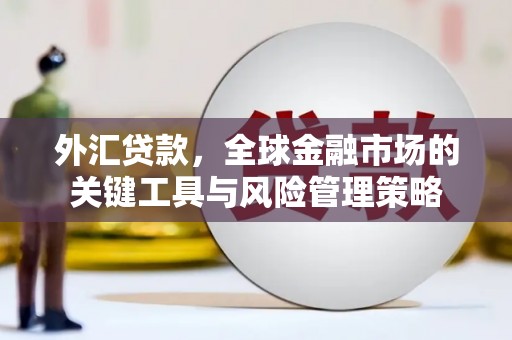 沂南外汇贷款，全球金融市场的关键工具与风险管理策略