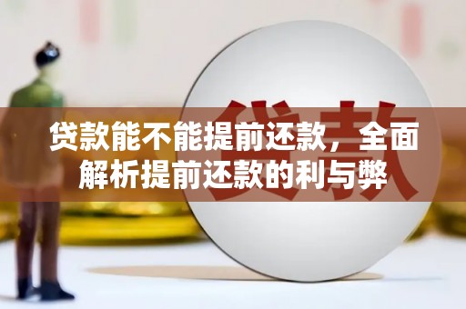 沂南贷款能不能提前还款，全面解析提前还款的利与弊