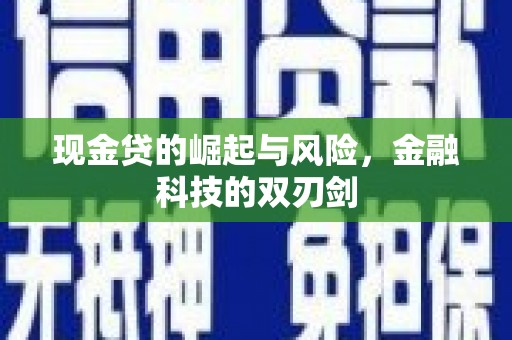 沂南现金贷的崛起与风险，金融科技的双刃剑