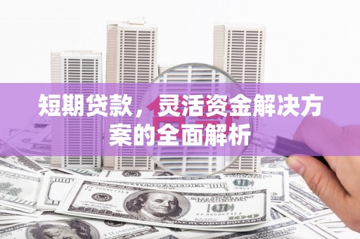 沂南短期贷款，灵活资金解决方案的全面解析