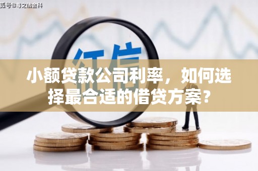 沂南小额贷款公司利率，如何选择最合适的借贷方案？