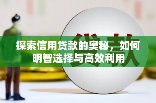 沂南探索信用贷款的奥秘，如何明智选择与高效利用