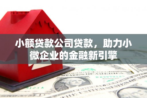 沂南小额贷款公司贷款，助力小微企业的金融新引擎