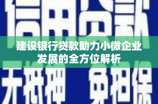 沂南建设银行贷款助力小微企业发展的全方位解析