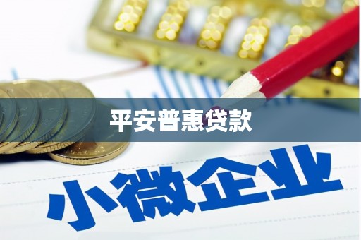 沂南平安普惠贷款