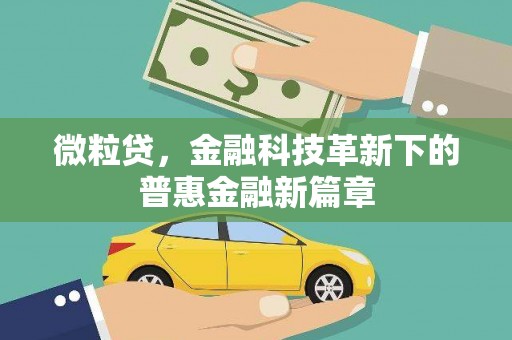 沂南微粒贷，金融科技革新下的普惠金融新篇章
