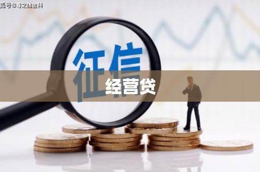 沂南经营贷