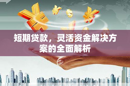 沂南短期贷款，灵活资金解决方案的全面解析