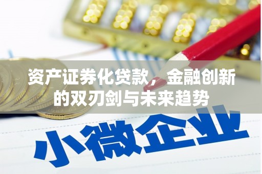 沂南资产证券化贷款，金融创新的双刃剑与未来趋势