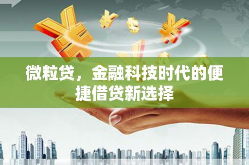 沂南微粒贷，金融科技时代的便捷借贷新选择