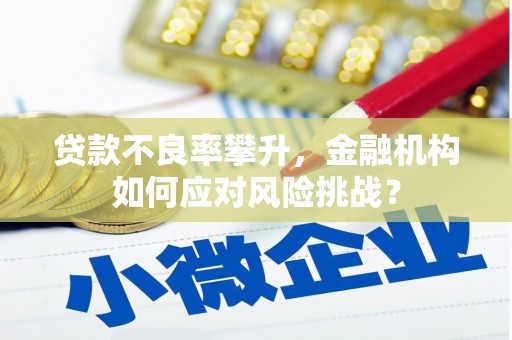 沂南贷款不良率攀升，金融机构如何应对风险挑战？