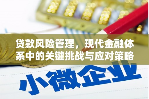 沂南贷款风险管理，现代金融体系中的关键挑战与应对策略