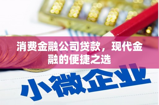 沂南消费金融公司贷款，现代金融的便捷之选