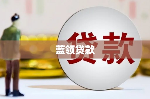 沂南蓝领贷款